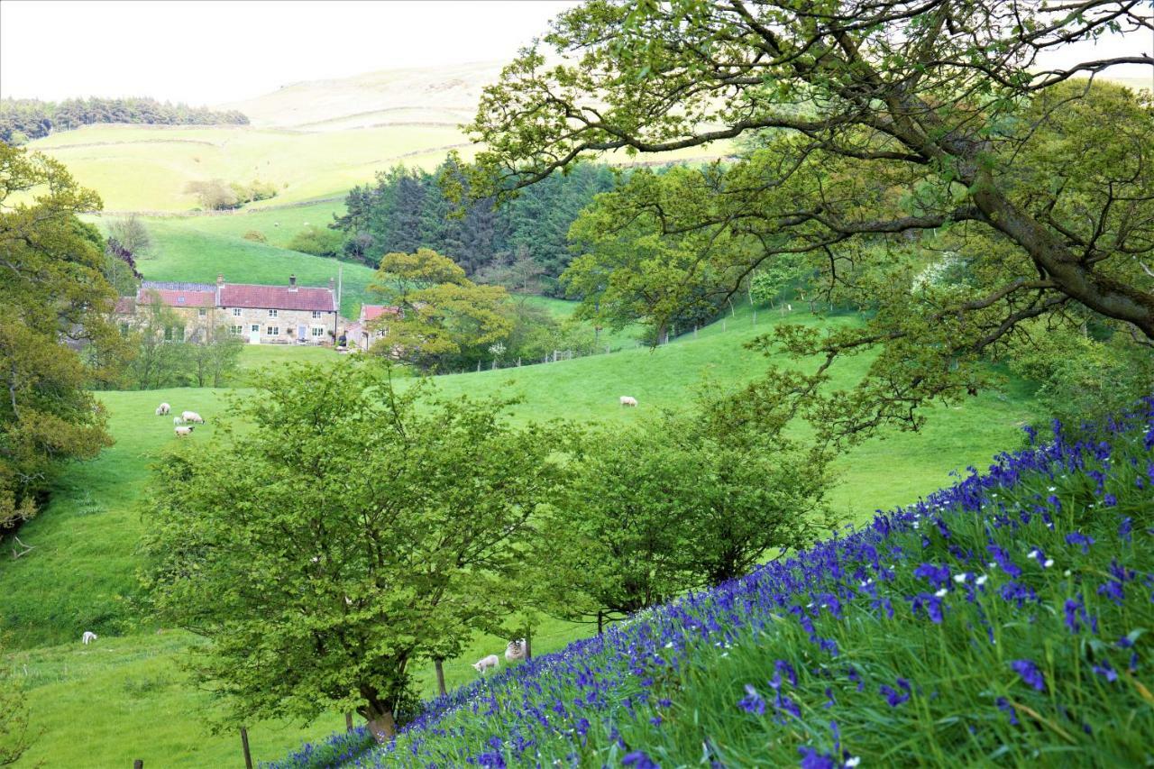 Bluebells Cottage Chop Gate 외부 사진
