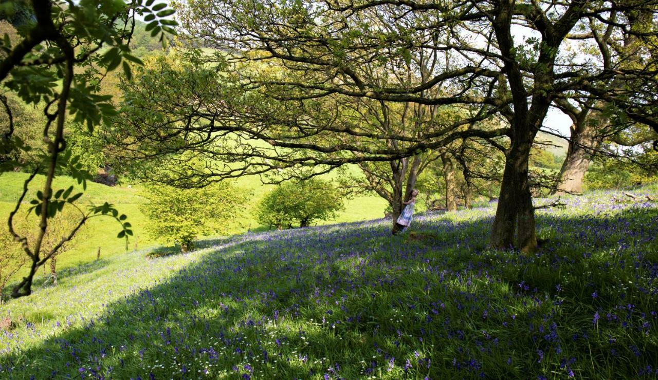 Bluebells Cottage Chop Gate 외부 사진